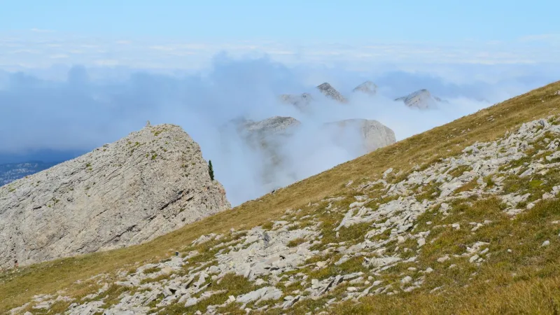 L'automne en Vercors : pêche, champignons et train touristique pour vivre la saison dorée loin des foules