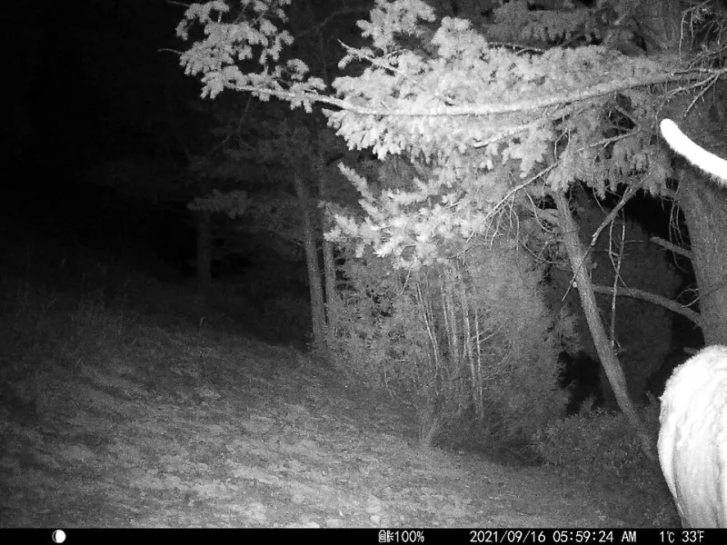 Nuits en altitude dans le Vercors : le guide des refuges et hébergements de montagne autour de Pont-en-Royans